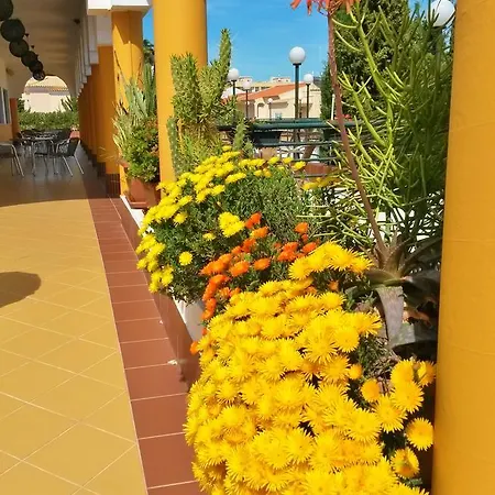 Rialgarve